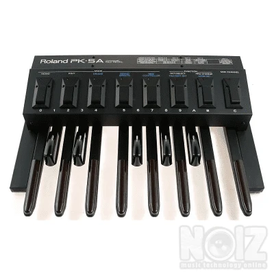 ROLAND PK 5 Dynamic Foot Pedal
