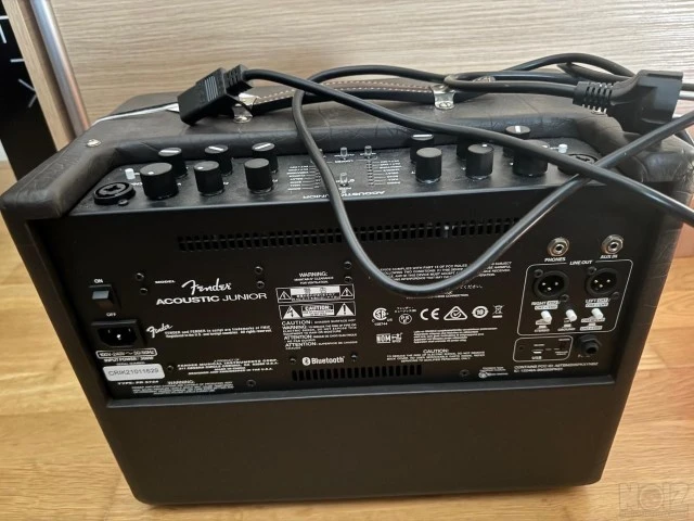 Fender Acoustic Junior 2-Channel 100-Wat