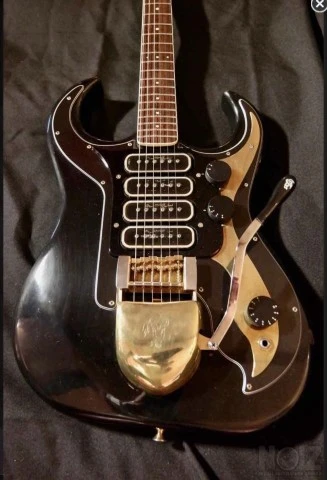 Burns black bison 4 pickup