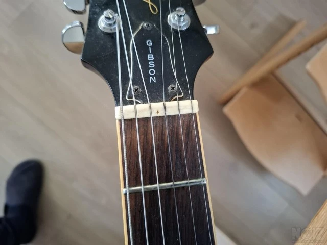 Custom Epiphone Les Paul+Hard case