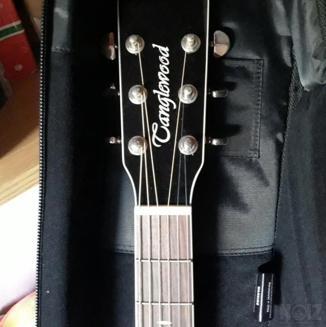 Tanglewood TW55 VSE
