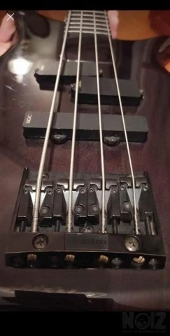 Bass Collection SB401