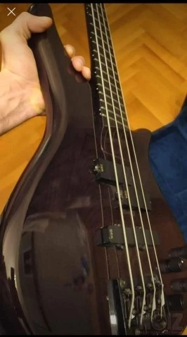 Bass Collection SB401