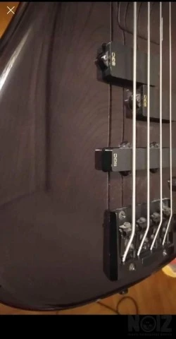 Bass Collection SB401