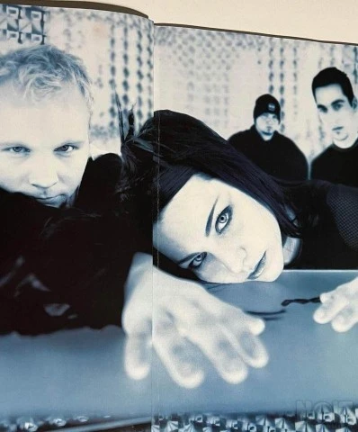 γνήσιο βιβλίο Evanescence Falle