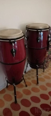 Congas