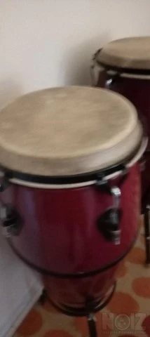 Congas