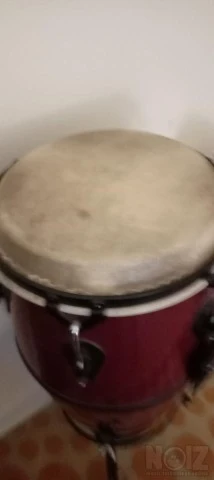 Congas