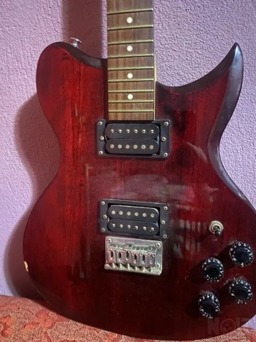 Washburn vintage