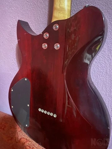 Washburn vintage