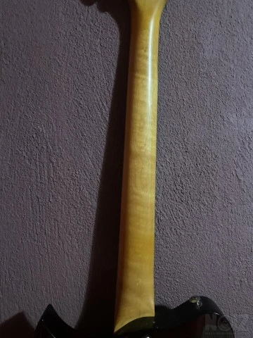 Washburn vintage