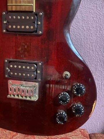 Washburn vintage