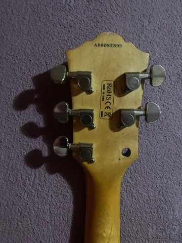 Washburn vintage