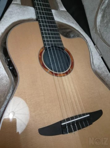 Yamaha NCX-3 spruce top