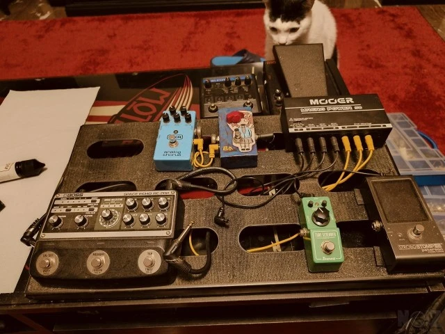 T-Rex Tonetrunk 56 Νέα Τιμή