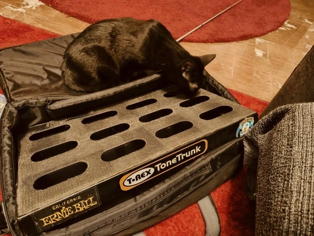 T-Rex Tonetrunk 56 Νέα Τιμή
