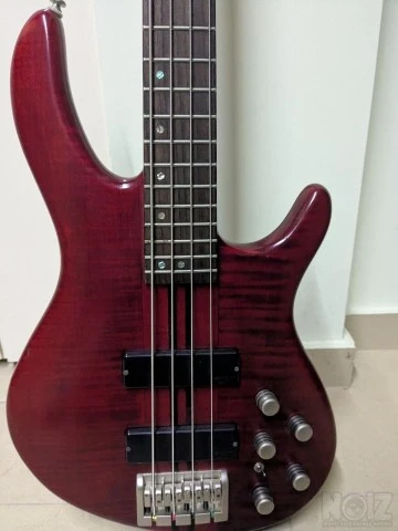 Cort Korea A4 Artisan Series Neckthrough