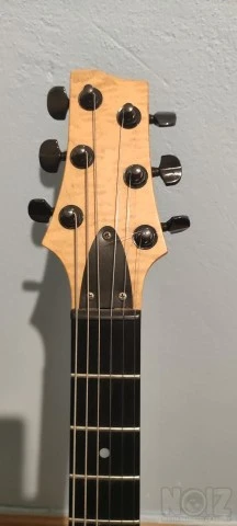 Warmoth PRS style Seymour duncan + Piezo