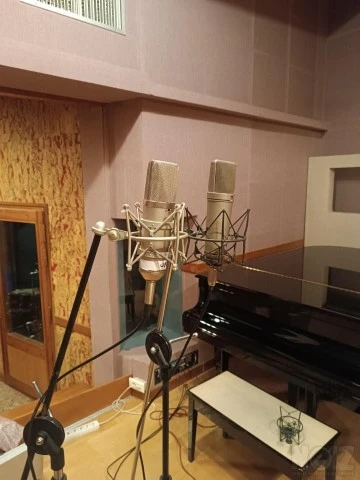 Neumann U87i Vintage clone Απίστευτο.