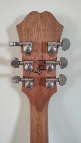 Epiphone Es 333 Tom Delonge
