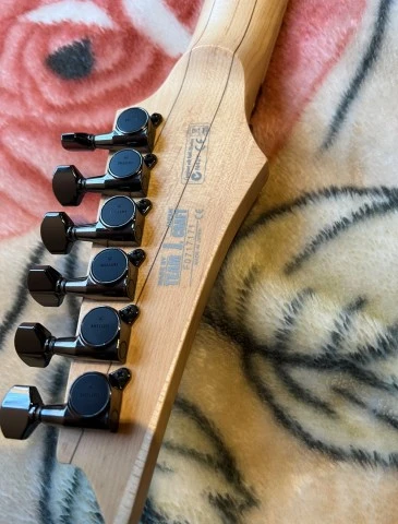 Ibanez RG-2620E CBK