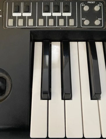 Korg pa600Qt 