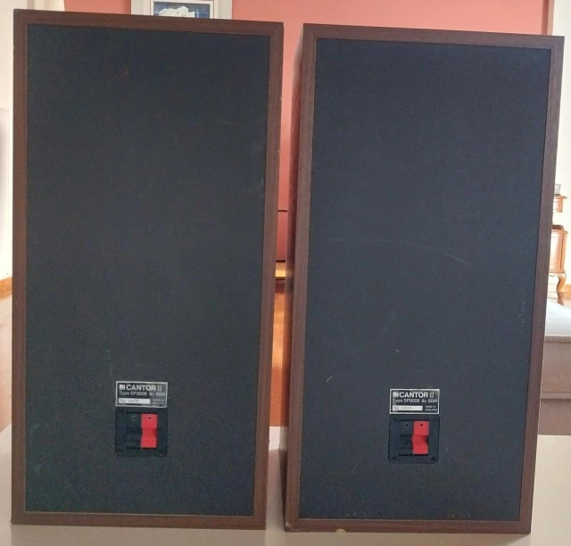 Ηχεία   KEF   Cantor  II