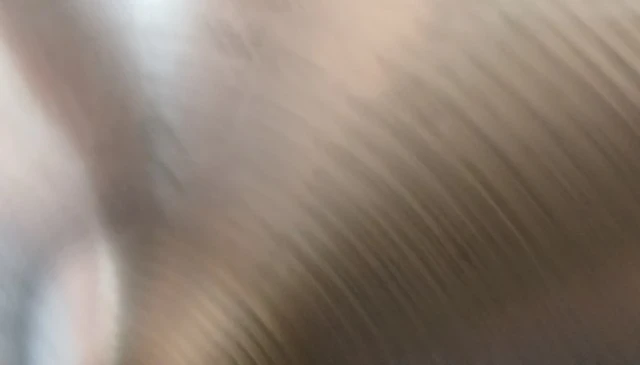 Zildjan A Ping Ride 20 
