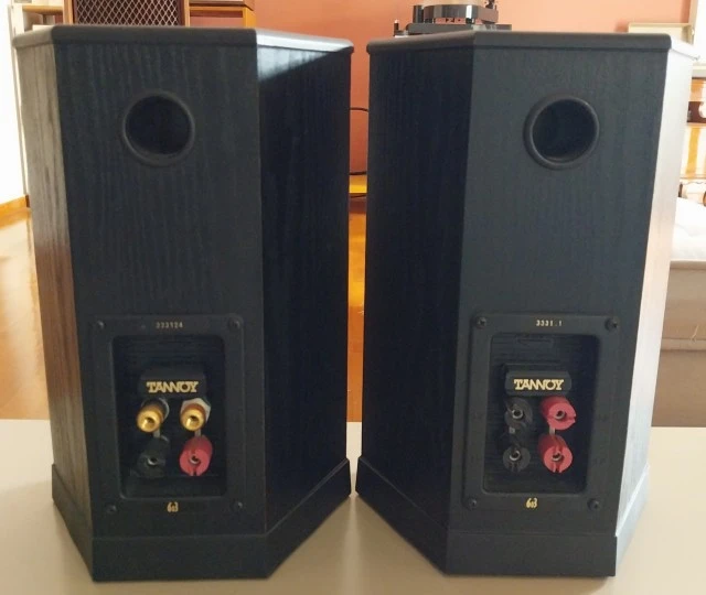 Ηχεία   Tannoy  603