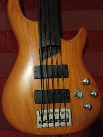 Cort 5 fretless 