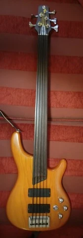 Cort 5 fretless 