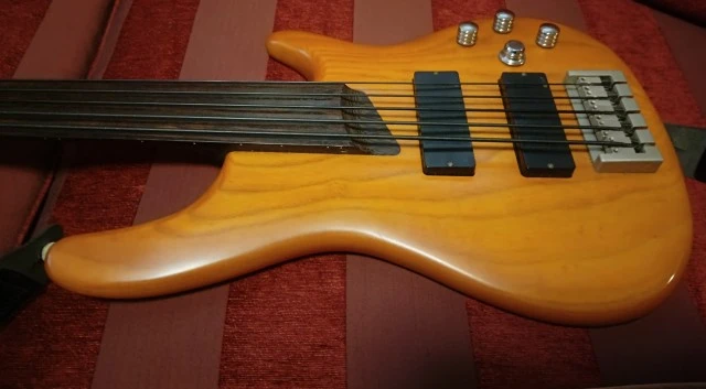 Cort 5 fretless 