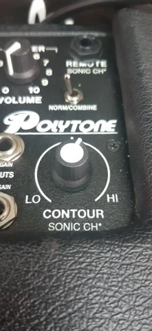 Polytone Mini Brute 5