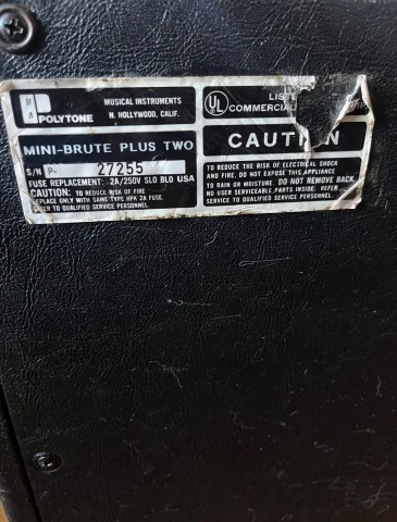 Polytone Mini Brute Plus Two 