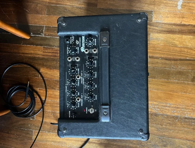 Polytone Mini Brute Plus Two 