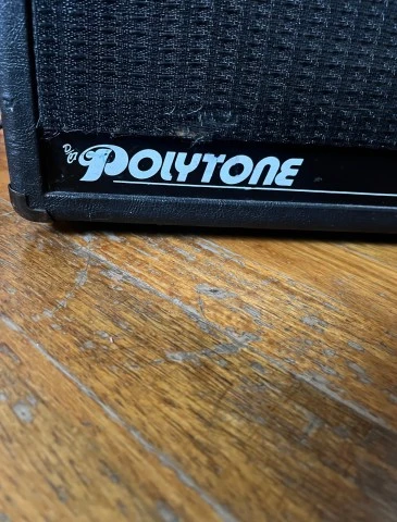 Polytone Mini Brute Plus Two 