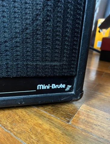 Polytone Mini Brute Plus Two 