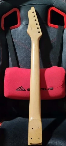 Washburn CS780 Neck