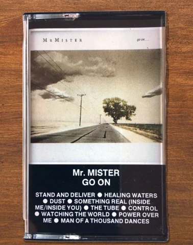 Mr. Mister Go On
