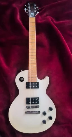 Gibson Les Paul studio raw power 