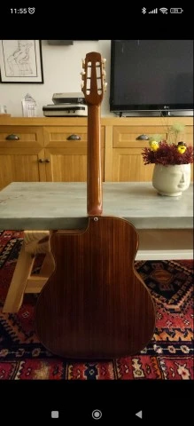 Gitane DG-255 Professional 