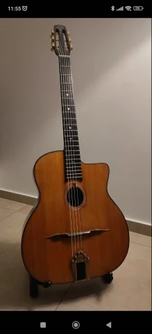 Gitane DG-255 Professional 
