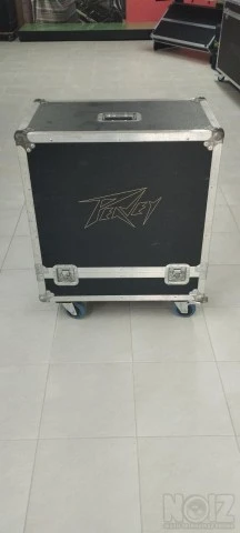 PEAVEY TNT 115 S + Custom Flightcase