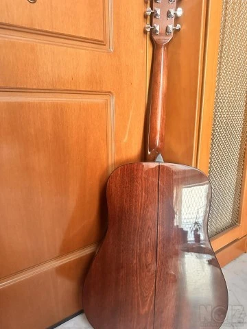 Fender DG-4 NAT+Ritter gig-bag