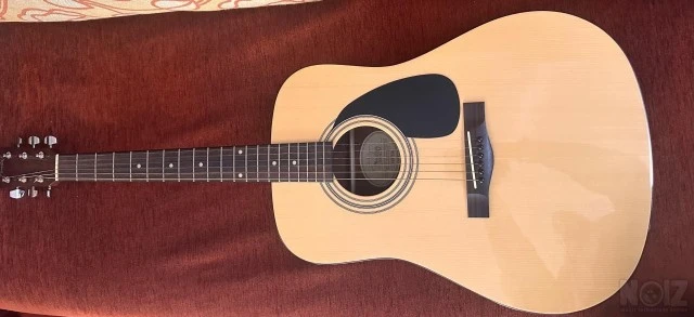 Fender DG-4 NAT+Ritter gig-bag