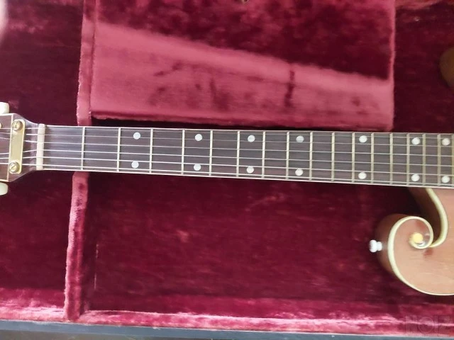 USA 1960 Premier Multivox E295 Scroll Κι