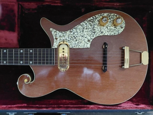 USA 1960 Premier Multivox E295 Scroll Κι