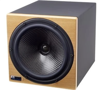 KS Digital Monitors Pair