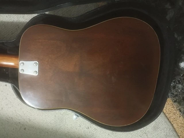 Eko Ranger 70's 12χορδη με ηλεκτρικά