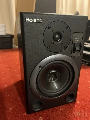 Roland DS-5 Studio Monitors